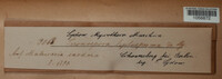 Image Associated With the Occurence